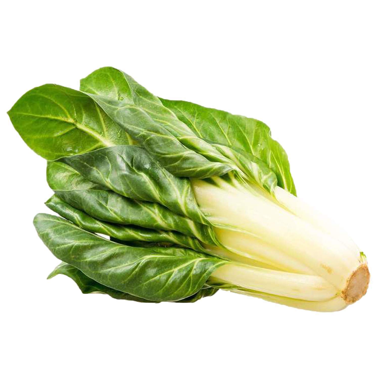 blitva