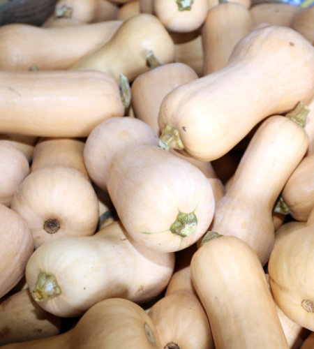 butternut2