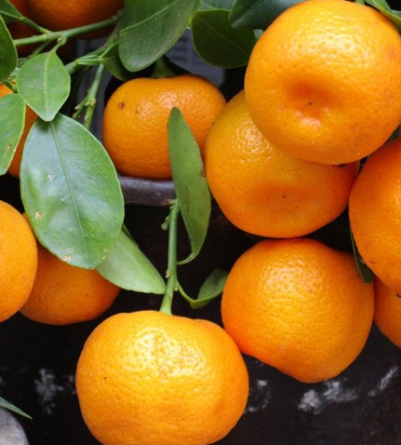mandarina-1